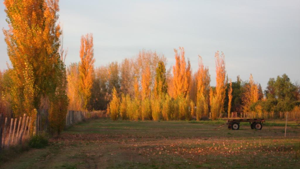Posada Del Viajero San Rafael Buitenkant foto
