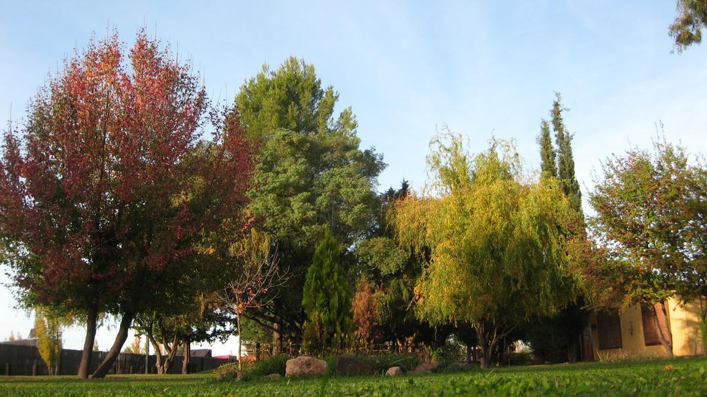 Posada Del Viajero San Rafael Buitenkant foto