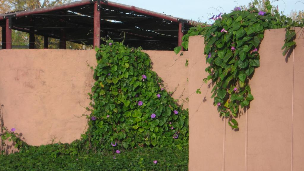 Posada Del Viajero San Rafael Buitenkant foto